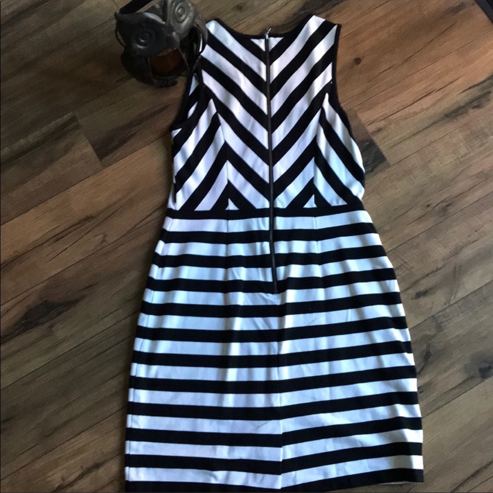 Fabulous black and white dress from Loft